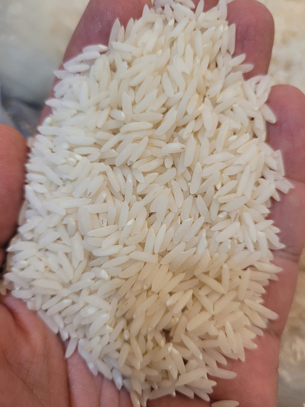 برنج ایرانی طارم استخوانی درجه یک شمال ارسال رایگان