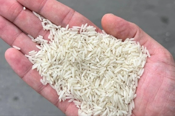 برنج ایرانی طارم هاشمی گیلان درجه یک ارسال رایگان